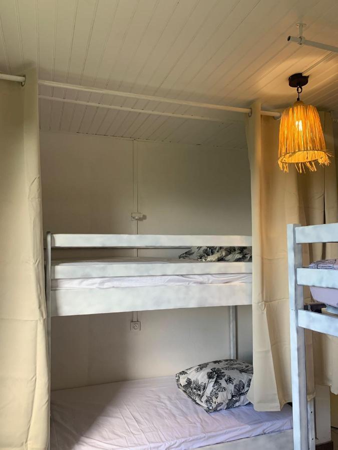 Top Hill Hostel- Martinique- Auberge Dortoir La Trinité Eksteriør billede