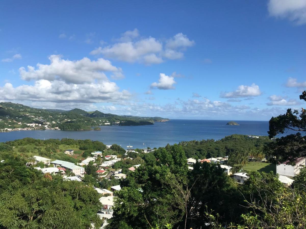 Top Hill Hostel- Martinique- Auberge Dortoir La Trinité Eksteriør billede